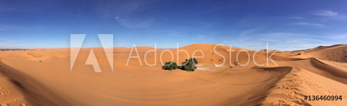 Picture of Sahara Panorama